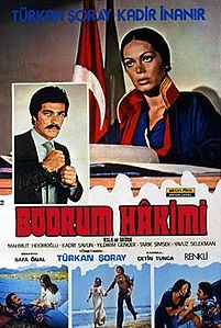 Bodrum Hakimi (Film)