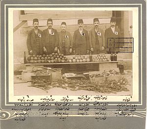 Ermeni Gönüllü Fedaileri