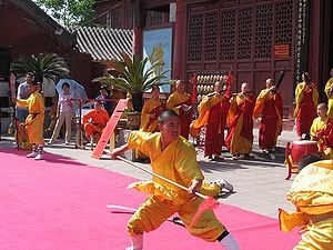 Kung Fu (savunma sporu)