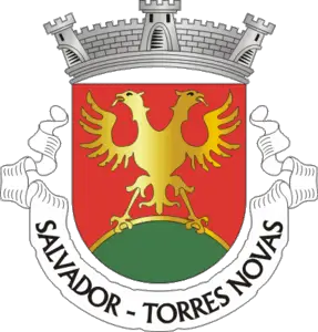 Salvador (Torres Novas)