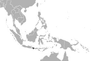 Bali kaplanı
