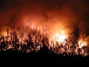 Orman yangınlarının sebepleri