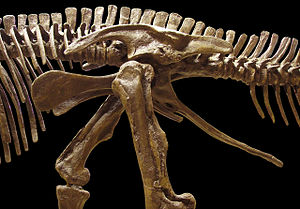 Ornithischia