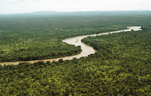 Gambiya Nehri