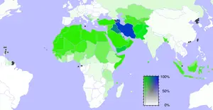 İslam'ın nüfus yapısı