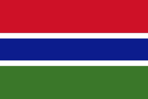 Gambiyalı