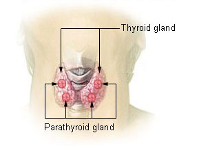 Tiroid bezi hastalıkları