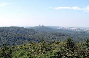 Teutoburg Ormanı