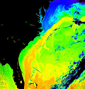 Gulf stream okyanus akıntısı