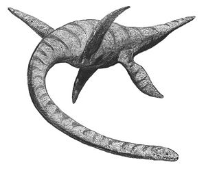 Pleisiosaurus