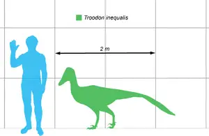 Pectinodon