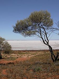 Playa (coğrafya)