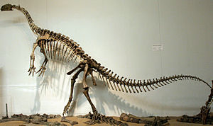 Gresslyosaurus