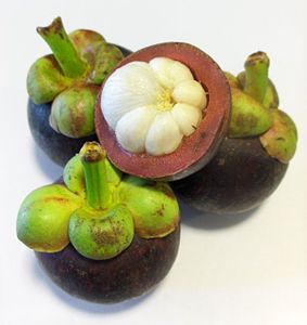 Garcinia mangostana